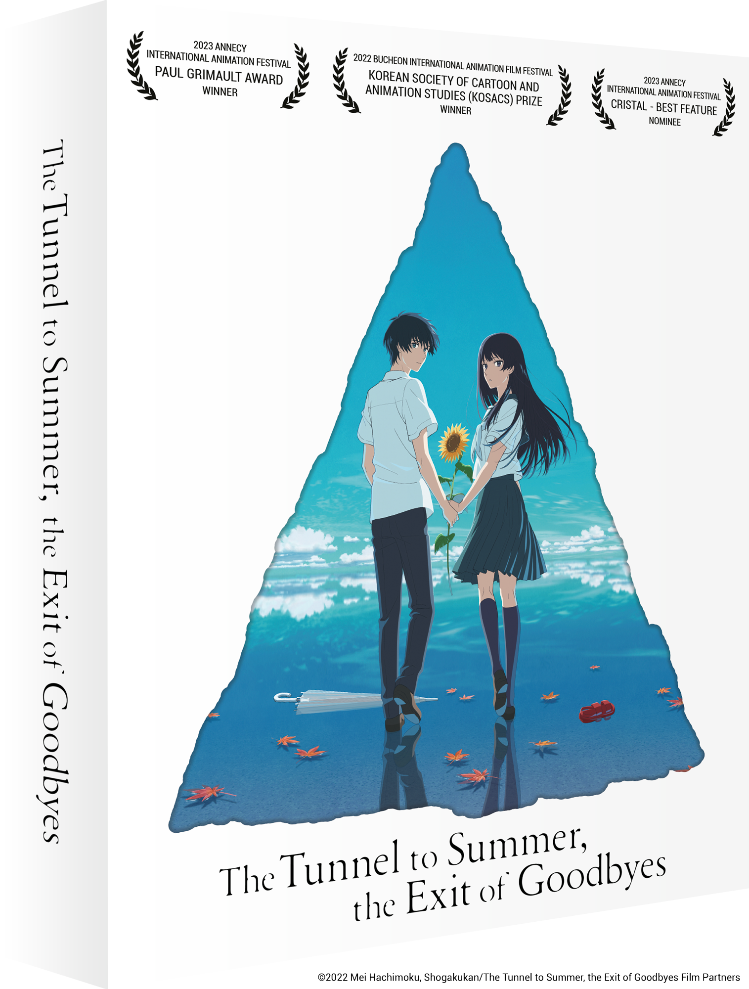 The Tunnel to Summer, the Exit of Goodbyes Blu-ray DVD