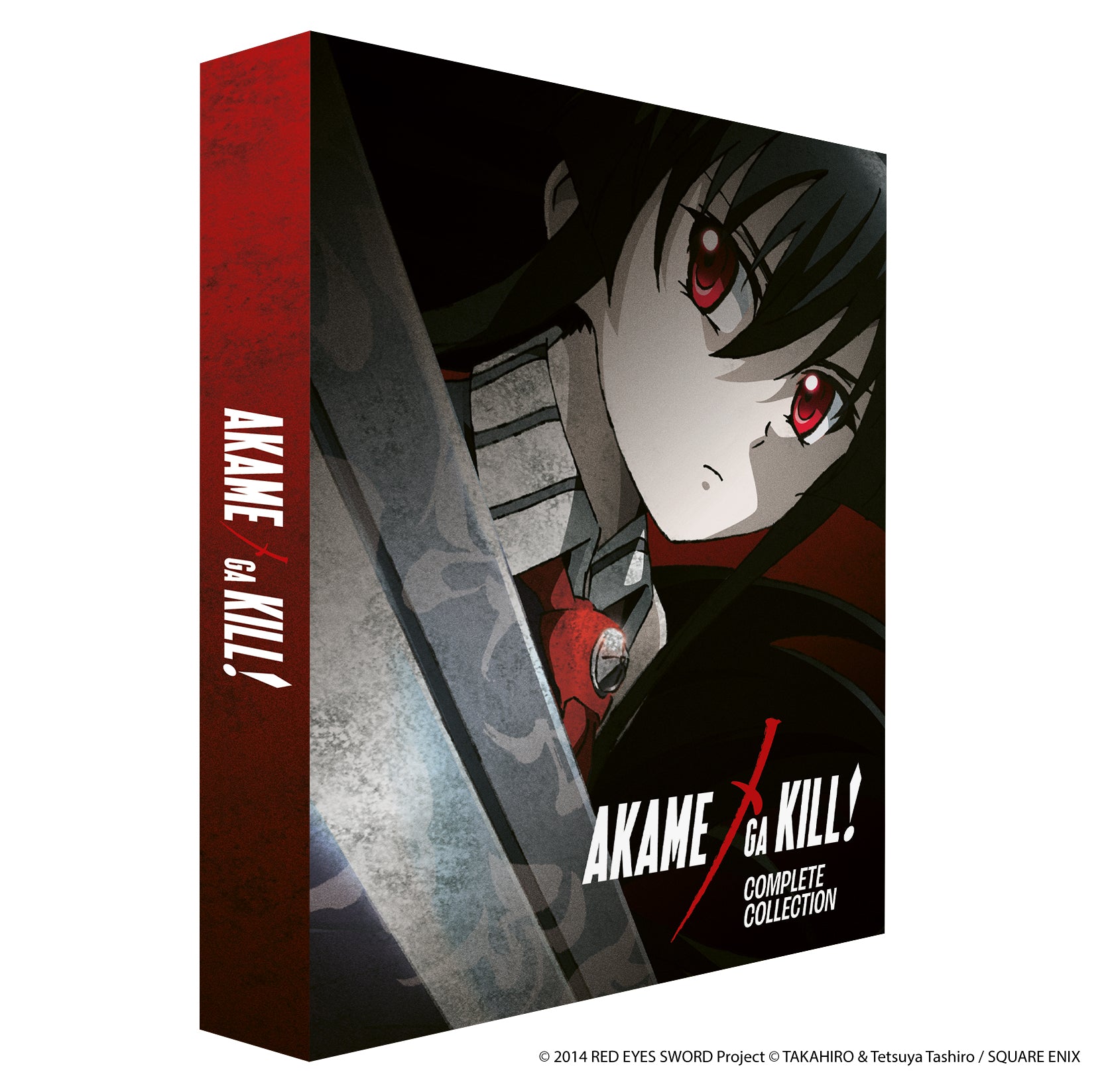 Akame Ga Kill! Complete Series Collector's Edition – alltheanime