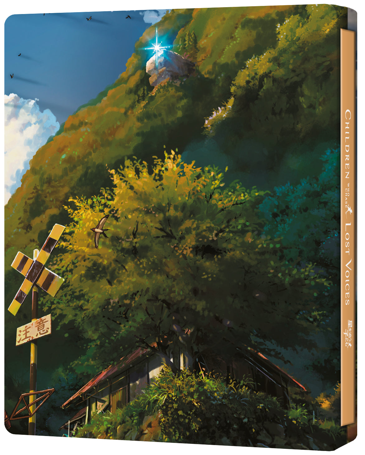 Children Who Chase Lost Voices - Blu-ray+CD Steelbook Collector's Edition