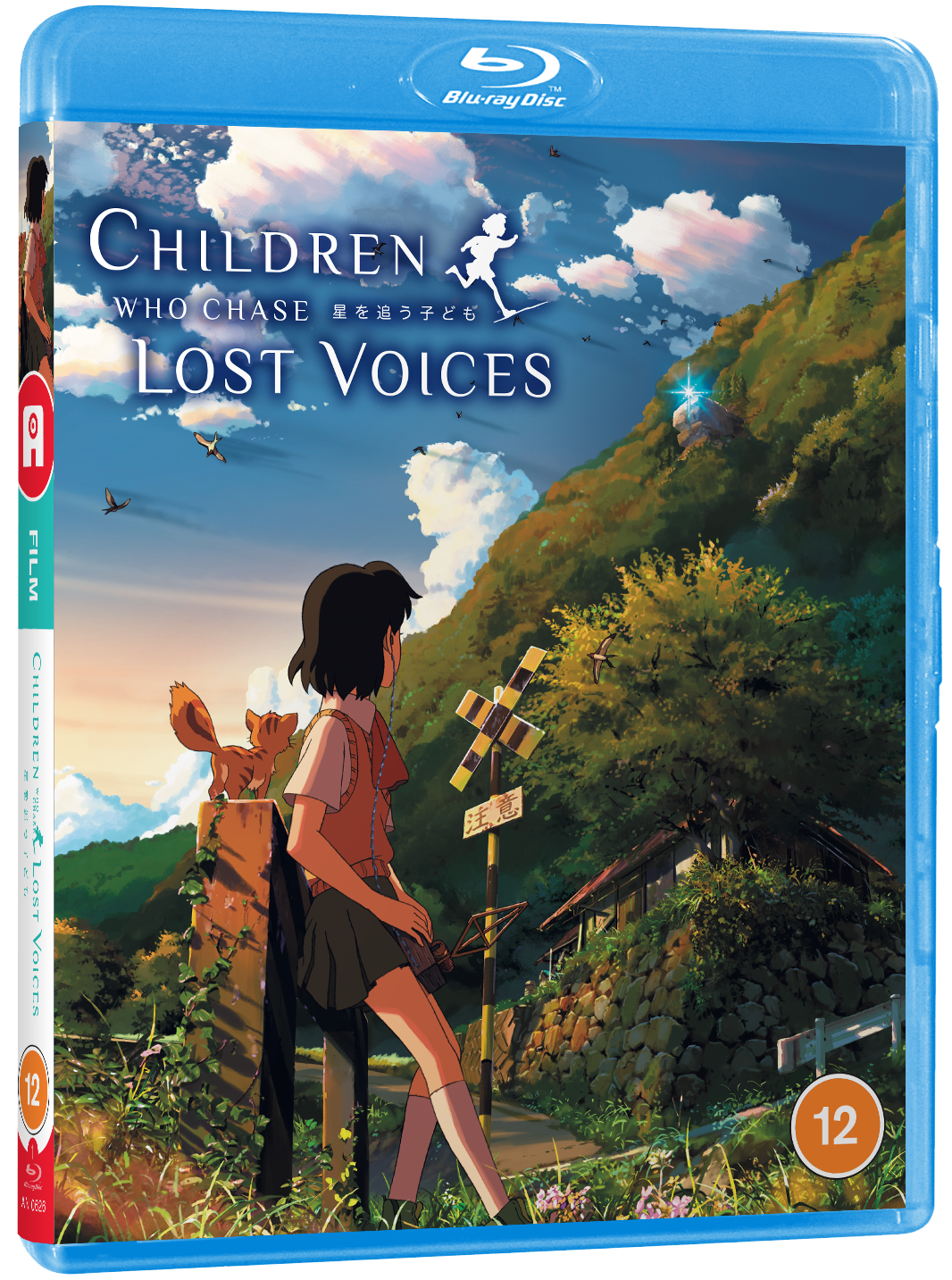 Children Who Chase Lost Voices - Blu-ray
