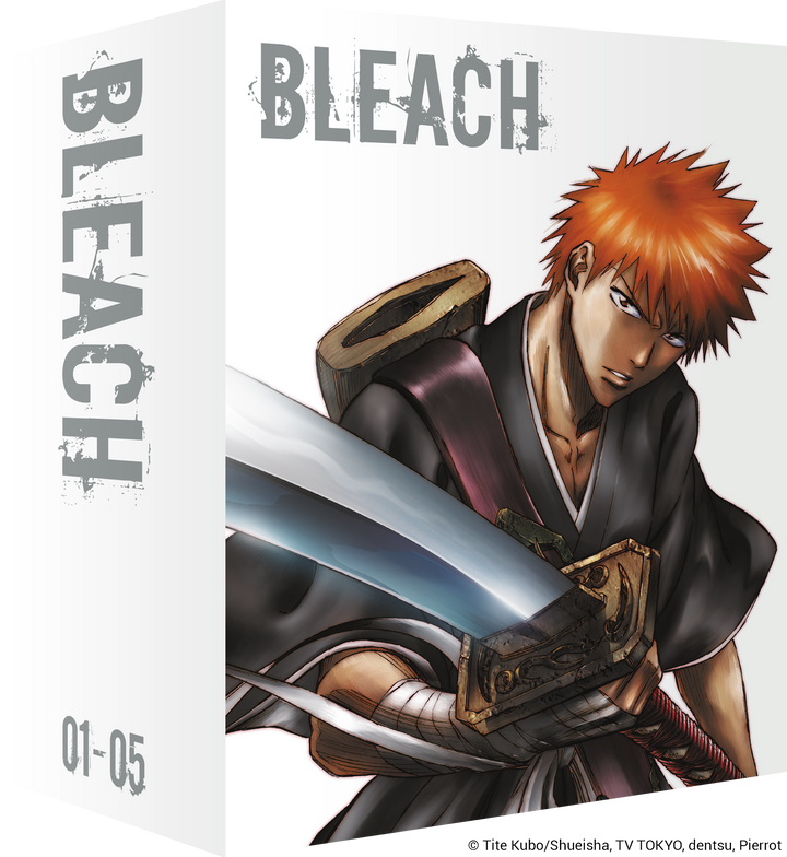 Bleach on Blu-ray – alltheanime
