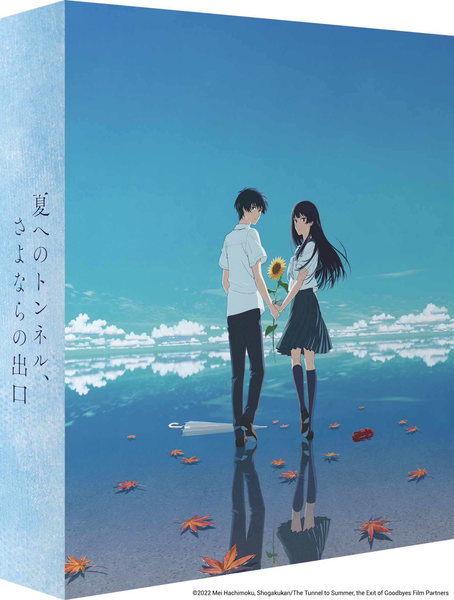 The Tunnel to Summer, the Exit of Goodbyes - Blu-ray + DVD Collector's Edition