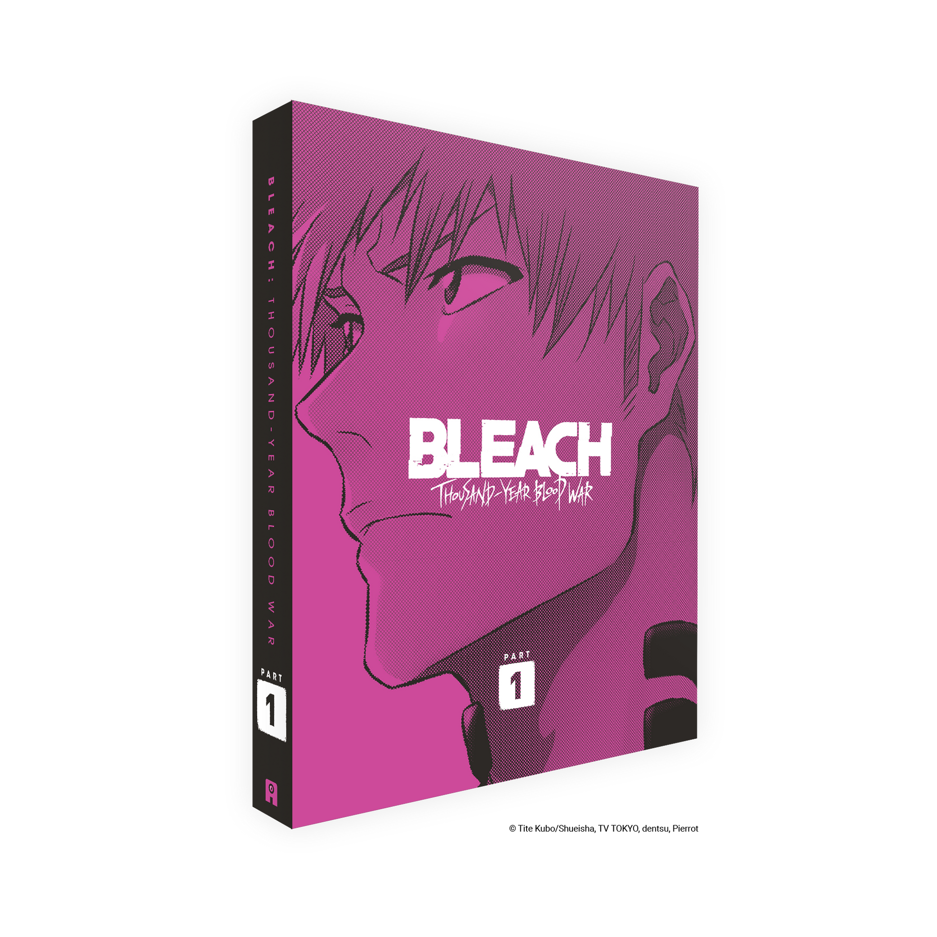 BLEACH THE BLOOD WARFARE I DVD アニメイト特典付 BLEACH: Thousand