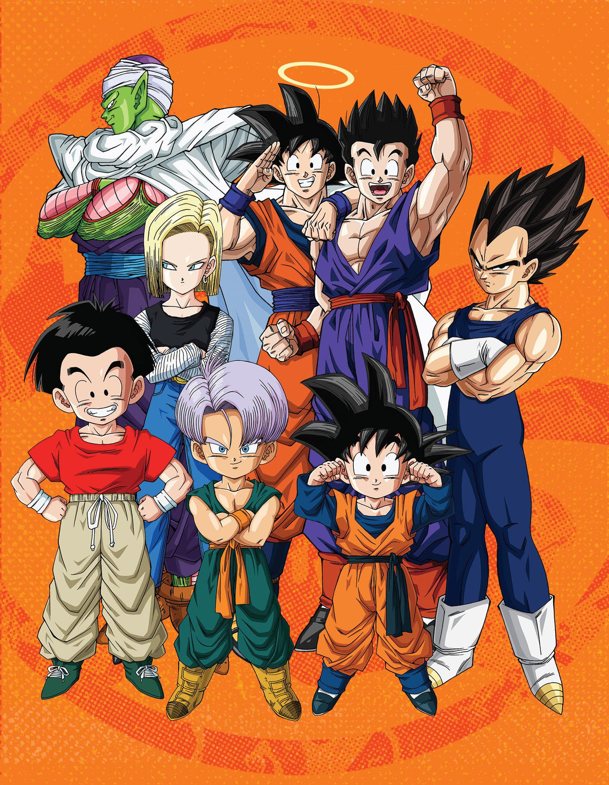 Dragon Ball Z: The Complete Series - Blu-ray Box Set – alltheanime